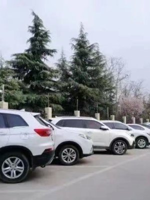 请问阎良区政府的免费停车位画为收费是为了解决停车难的问题吗？