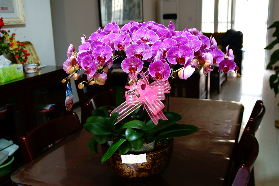DSC09068.jpg
