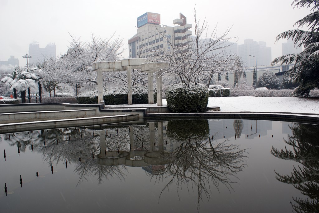 DSC09506-g-2.jpg