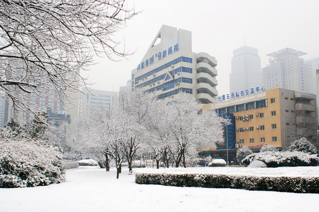 DSC09543-g-2.jpg