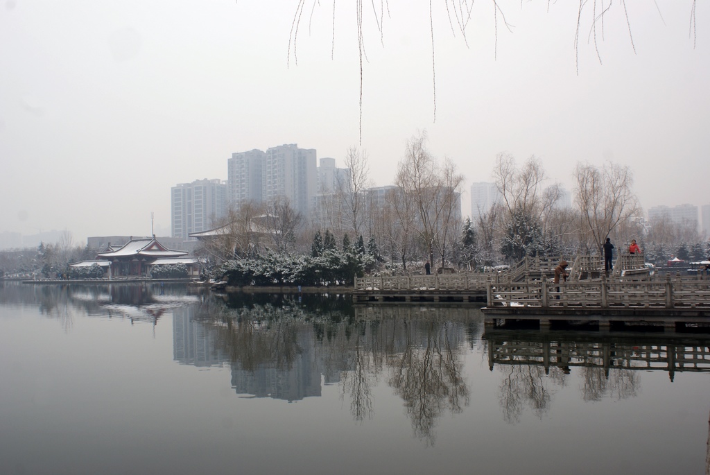DSC09593-g-2.jpg