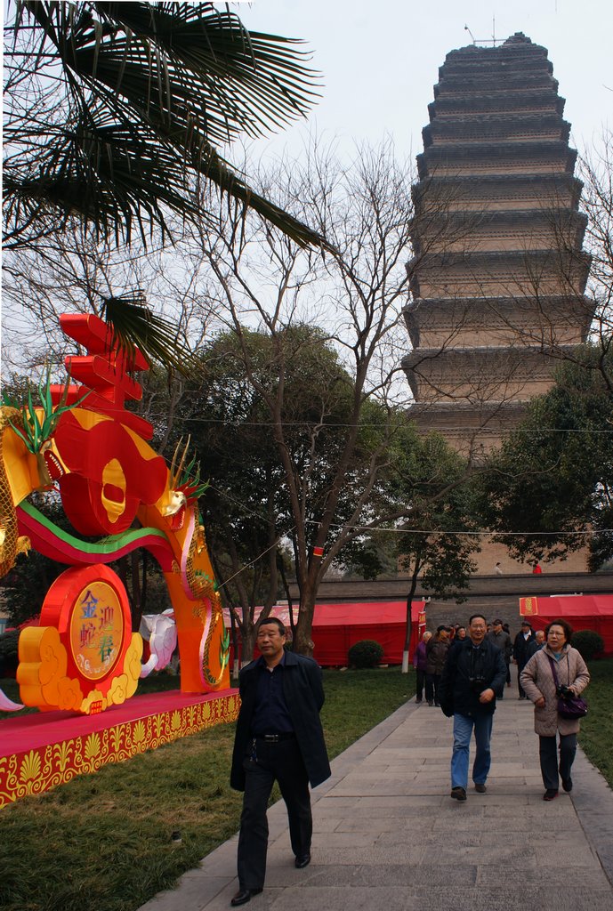DSC00161-g-2.jpg