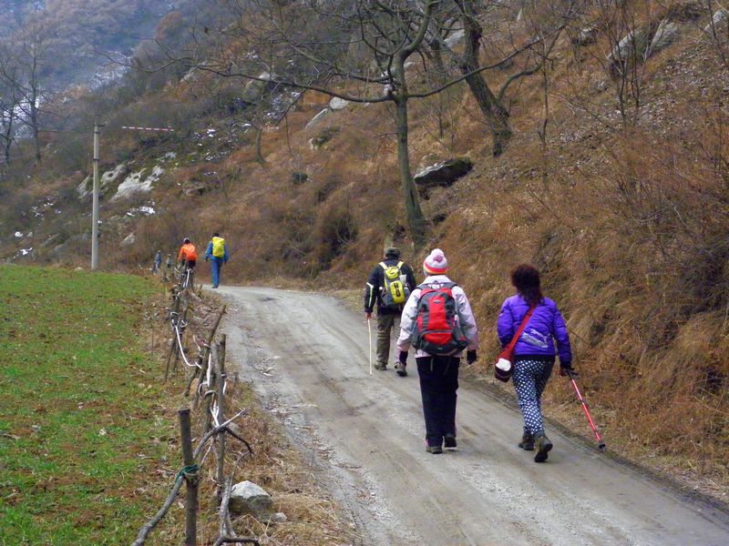 P2140006.jpg
