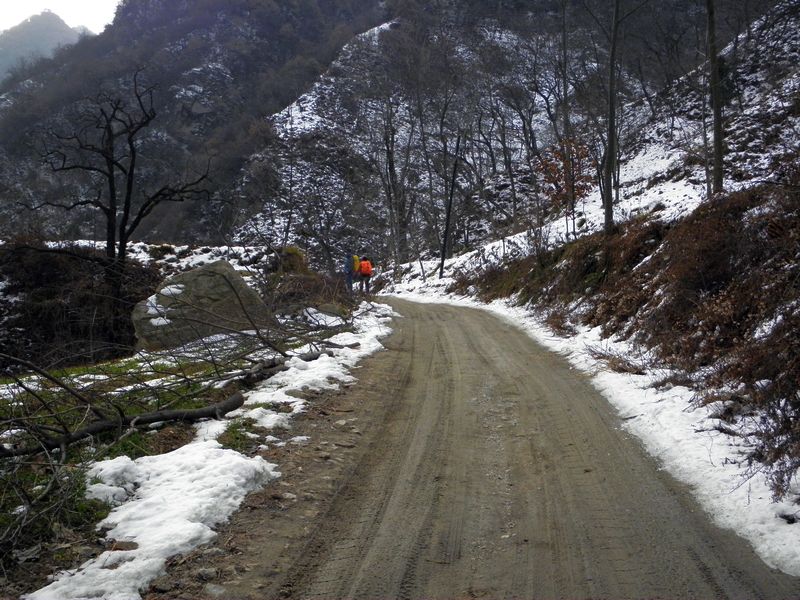 P2140007.jpg