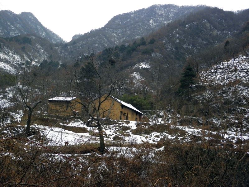 P2140016.jpg