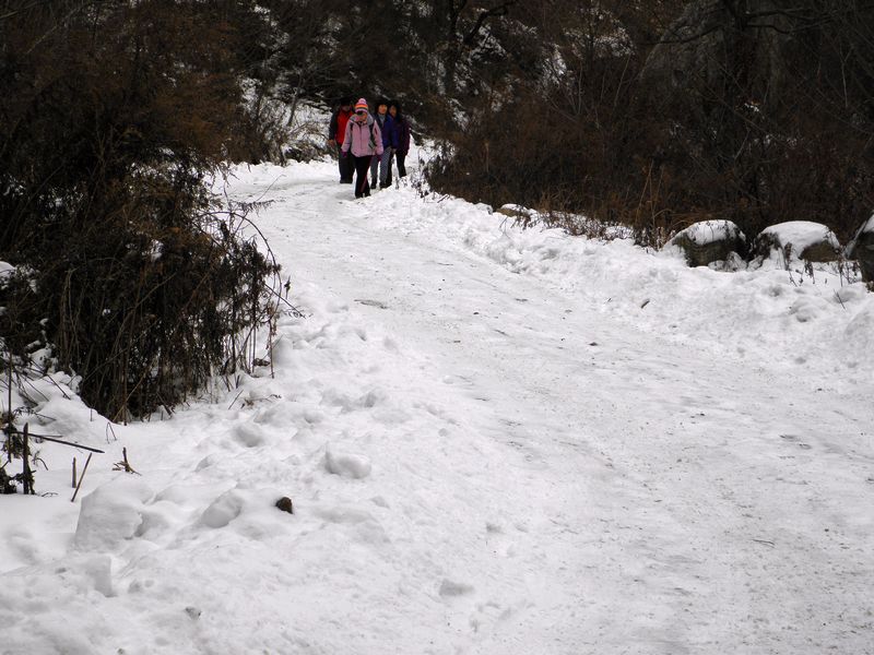 P2140017.jpg
