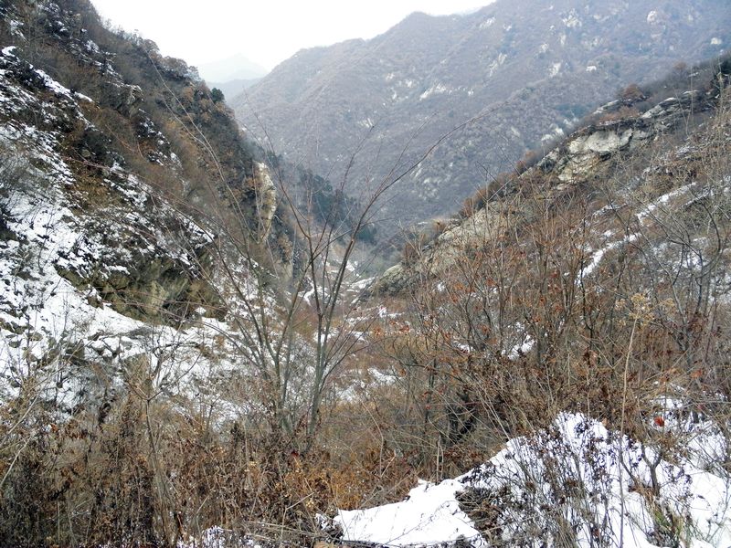P2140021.jpg