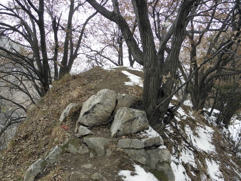 P2140030.jpg