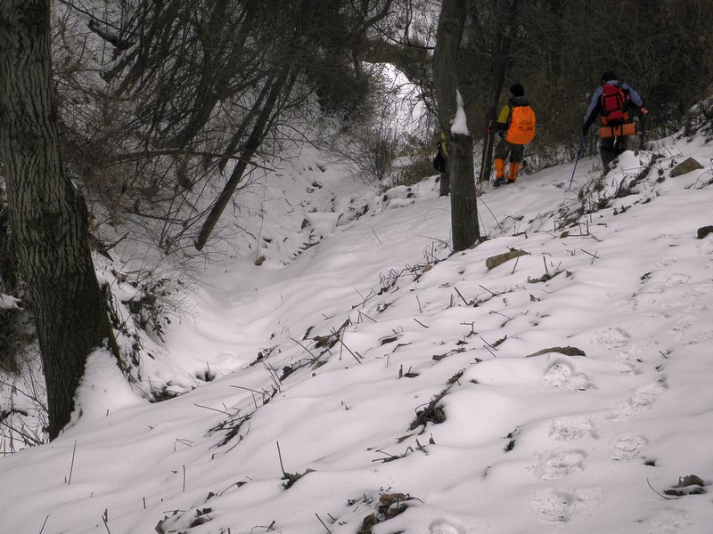 P2140034.jpg