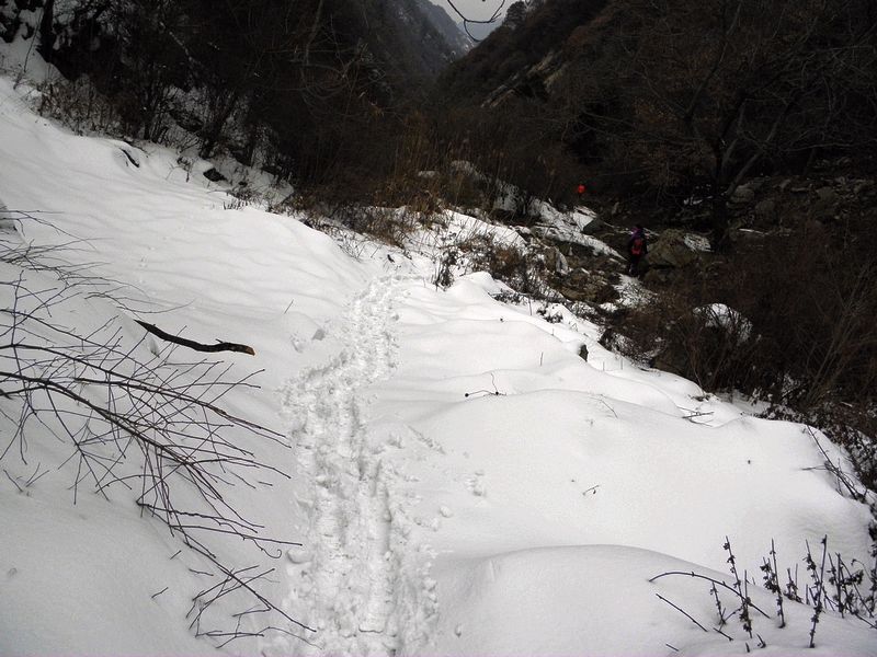 P2140040.jpg