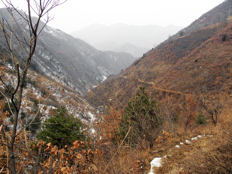 P2140041.jpg