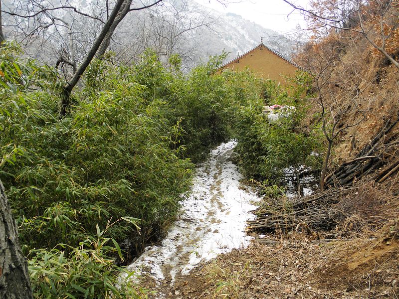 P2140046.jpg