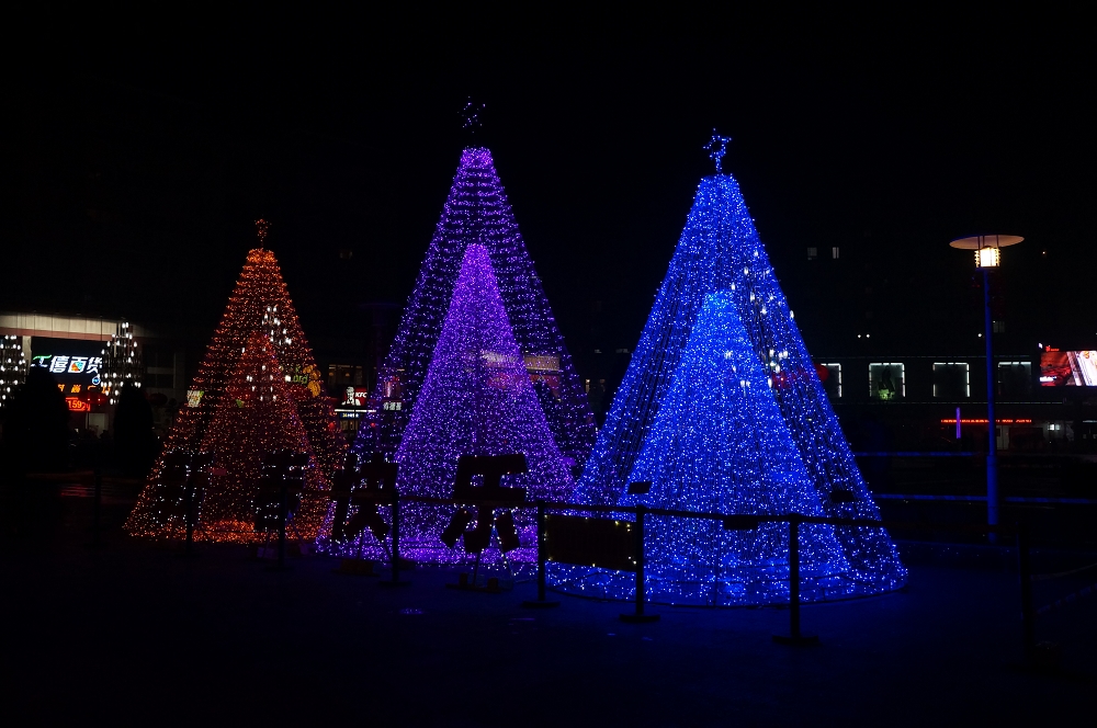 DSC00788.jpg