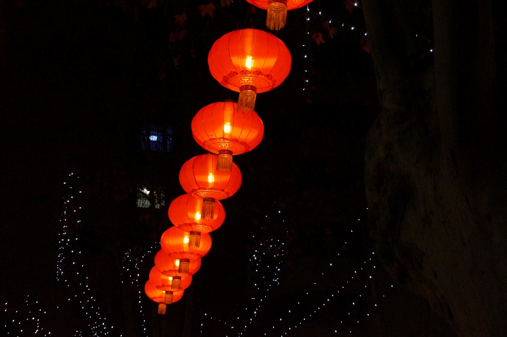 DSC00856.jpg