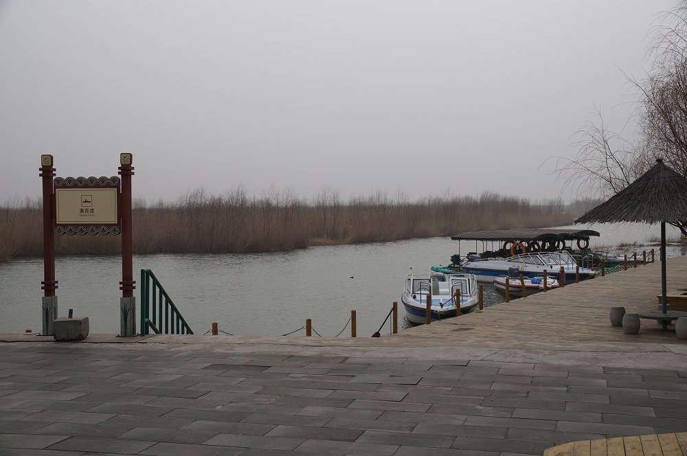 DSC00586.jpg