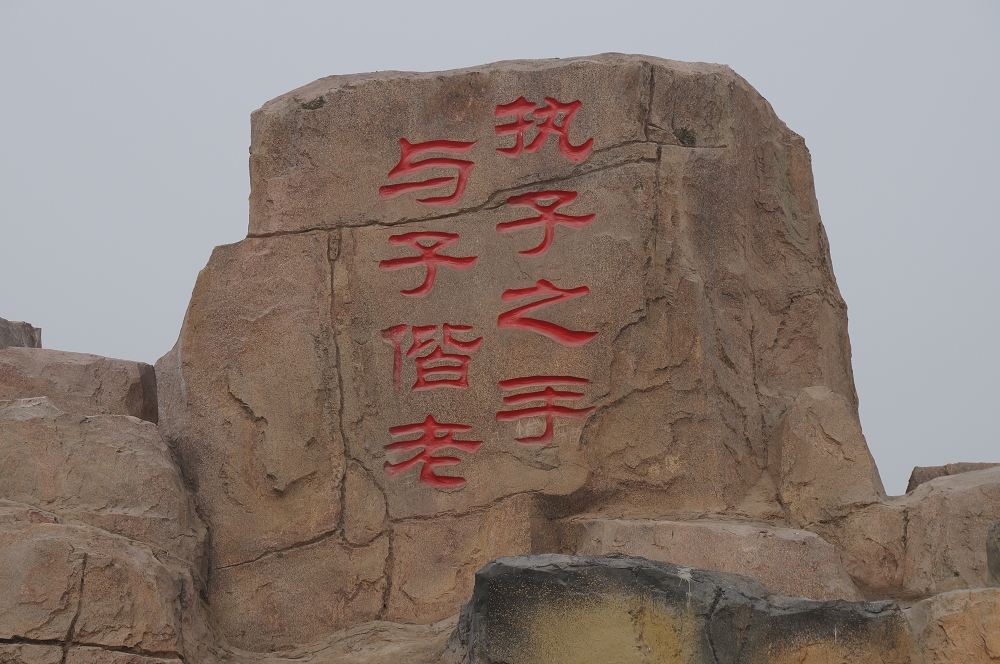 DSC00649.jpg