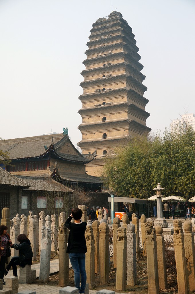 DSC09903-g-2.jpg