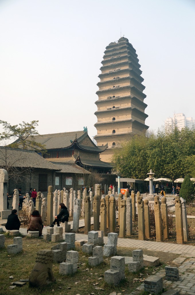DSC09906-g-2.jpg