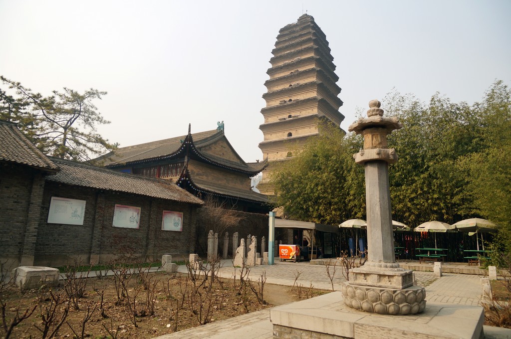 DSC09913-g-2.jpg