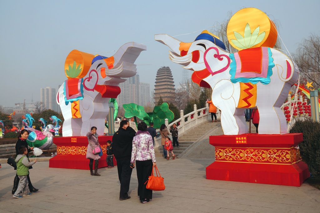 DSC09964-g-2.jpg
