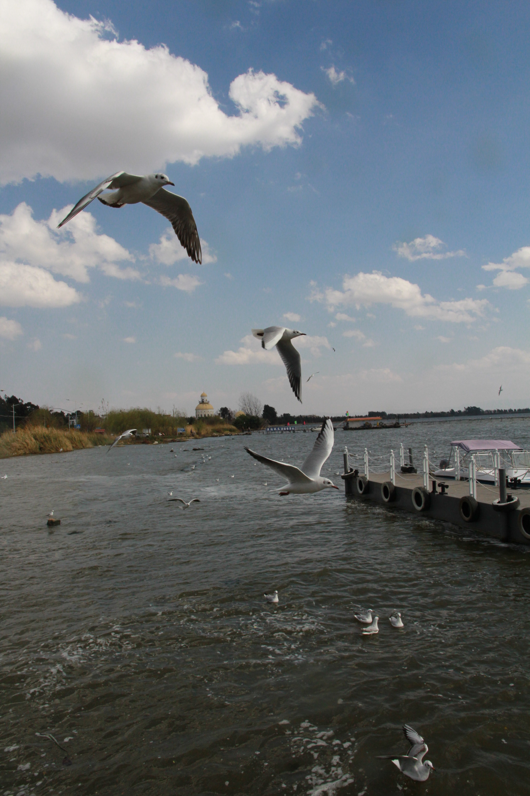 IMG_2761.JPG
