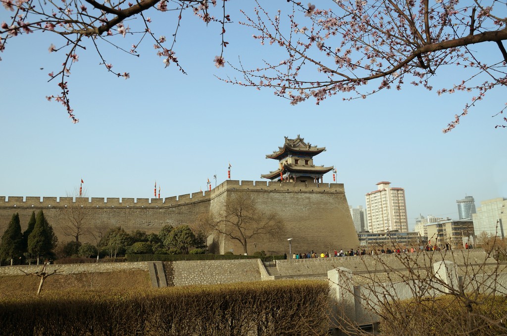 DSC00400-g-2.jpg