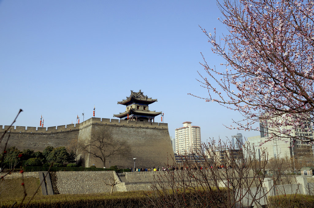 DSC00398-g-2.jpg