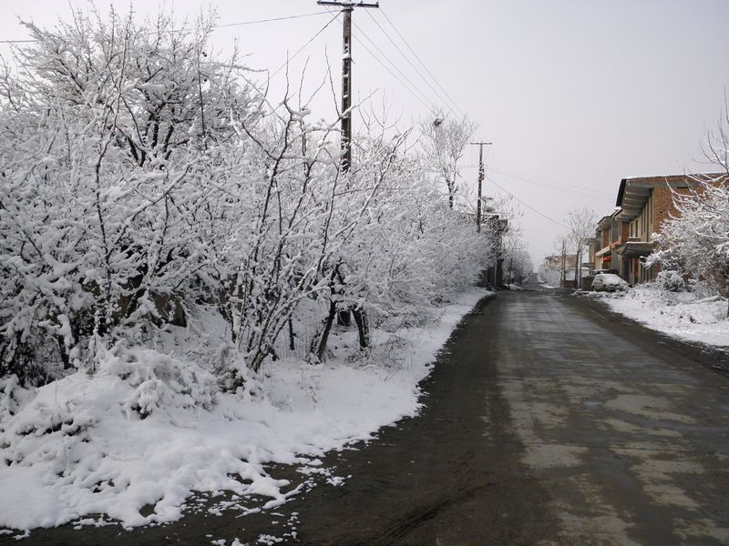 P2190024.jpg