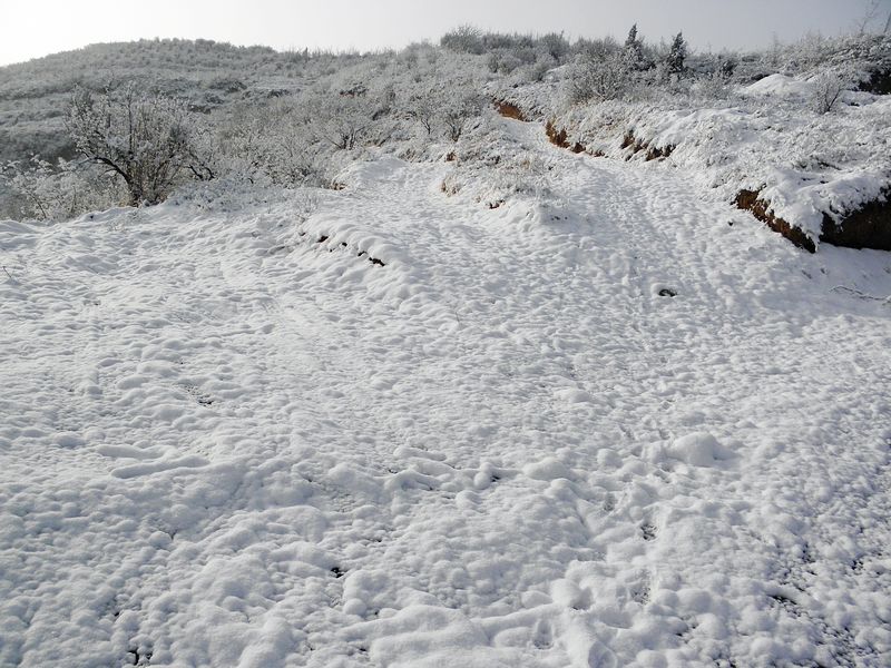 P2190037.jpg