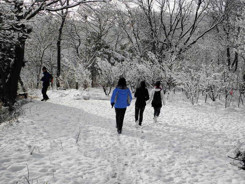 P2190050.jpg