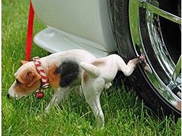 淡定不了了~~-飞机城论坛-阎良信息港旗