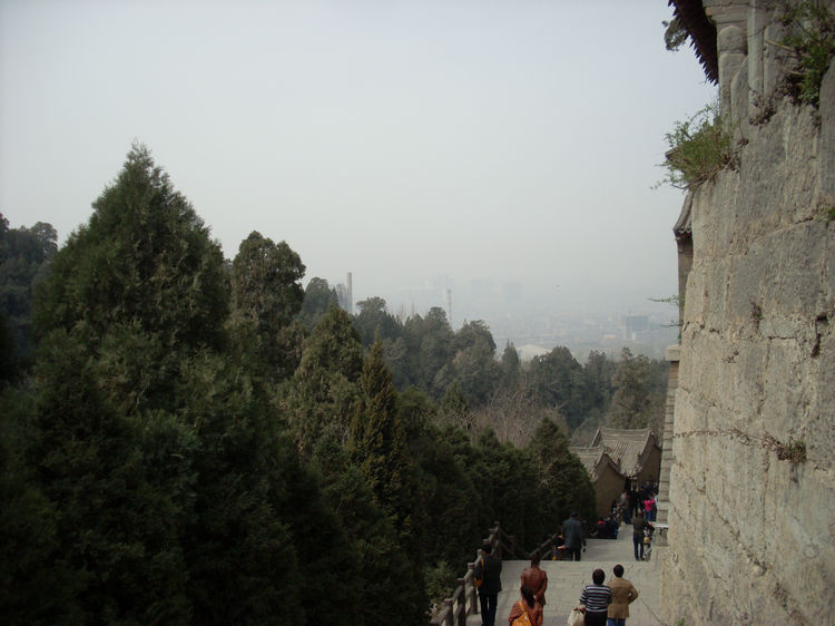 SL381919.JPG