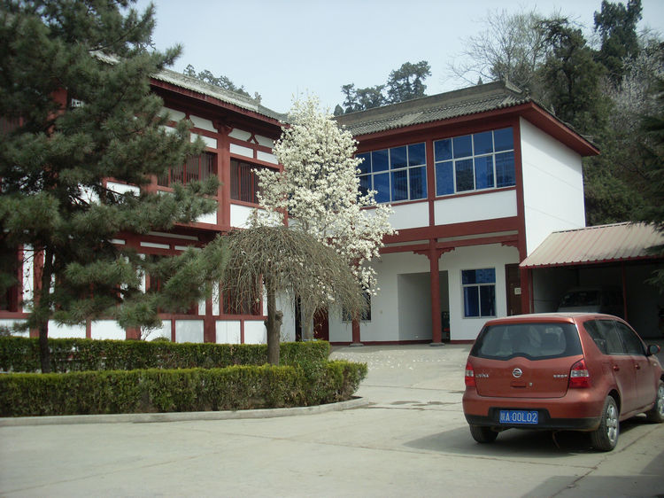 SL381932.JPG