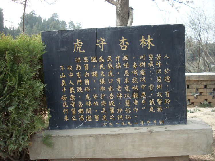SL381936.JPG
