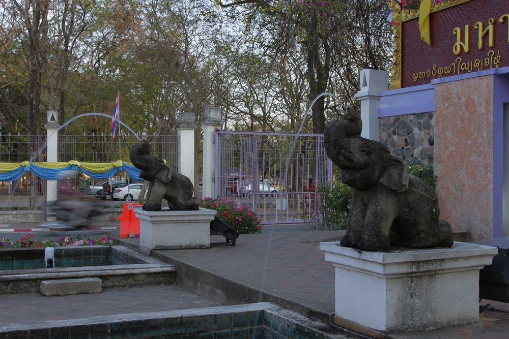 _MG_8296.jpg