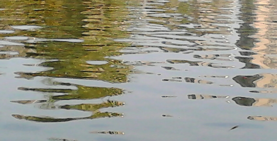 IMG_20130323_174647.jpg