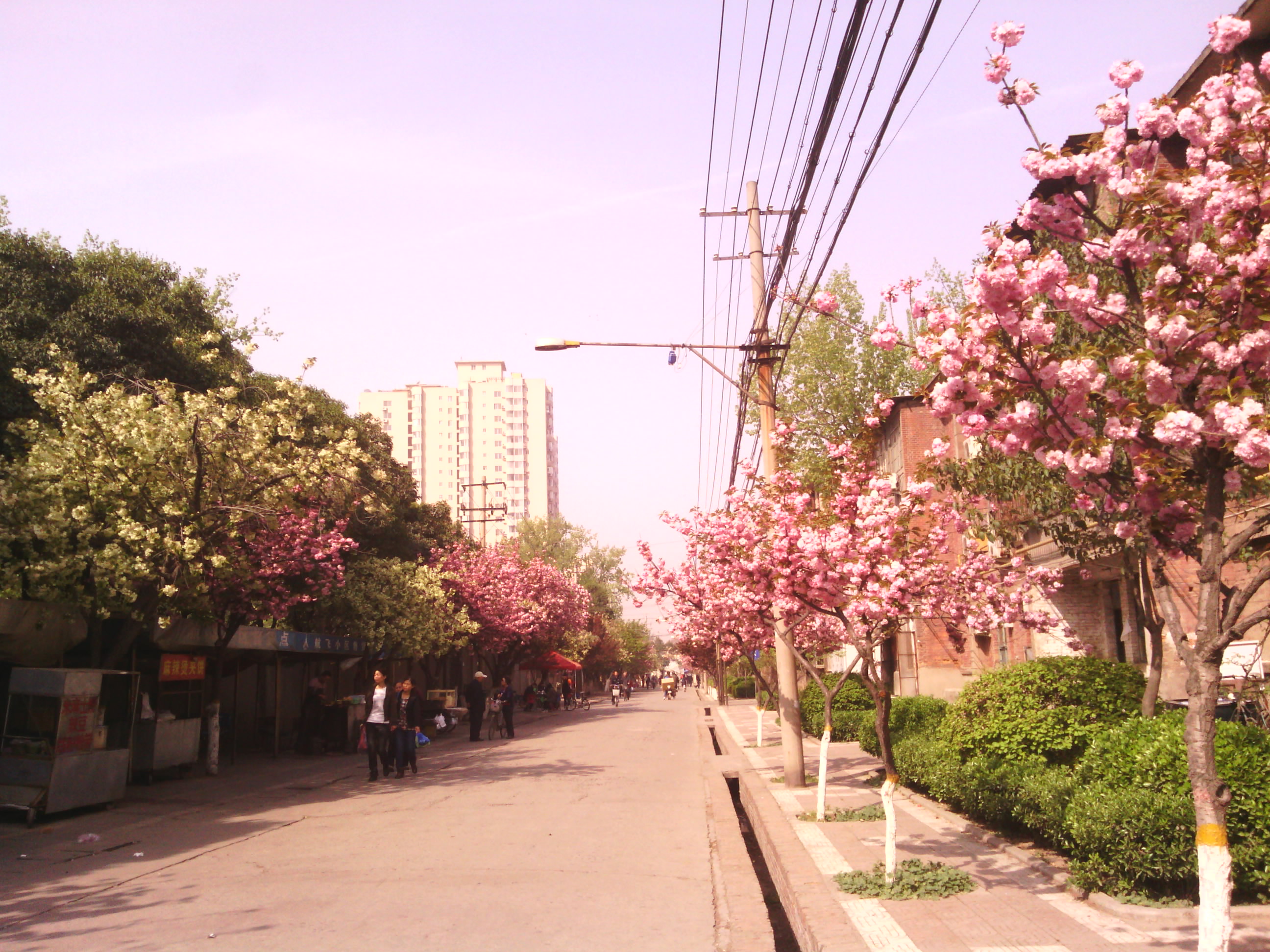 IMG_20130328_101411.jpg