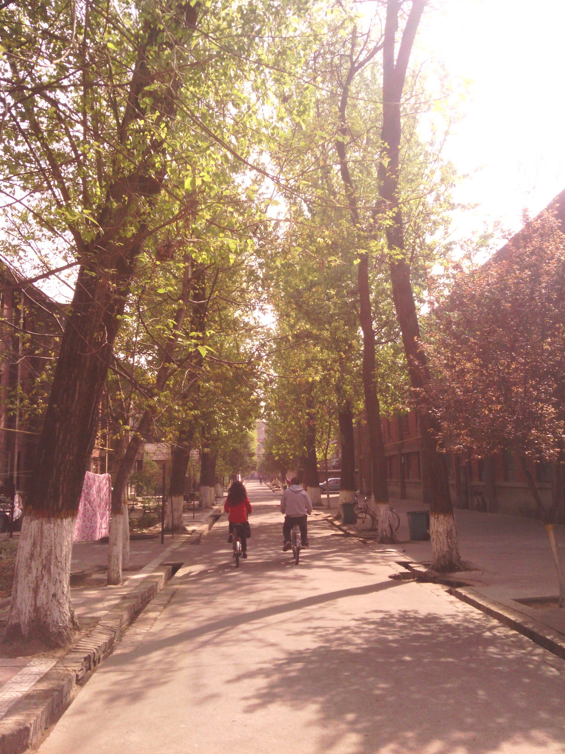 IMG_20130328_101623.jpg