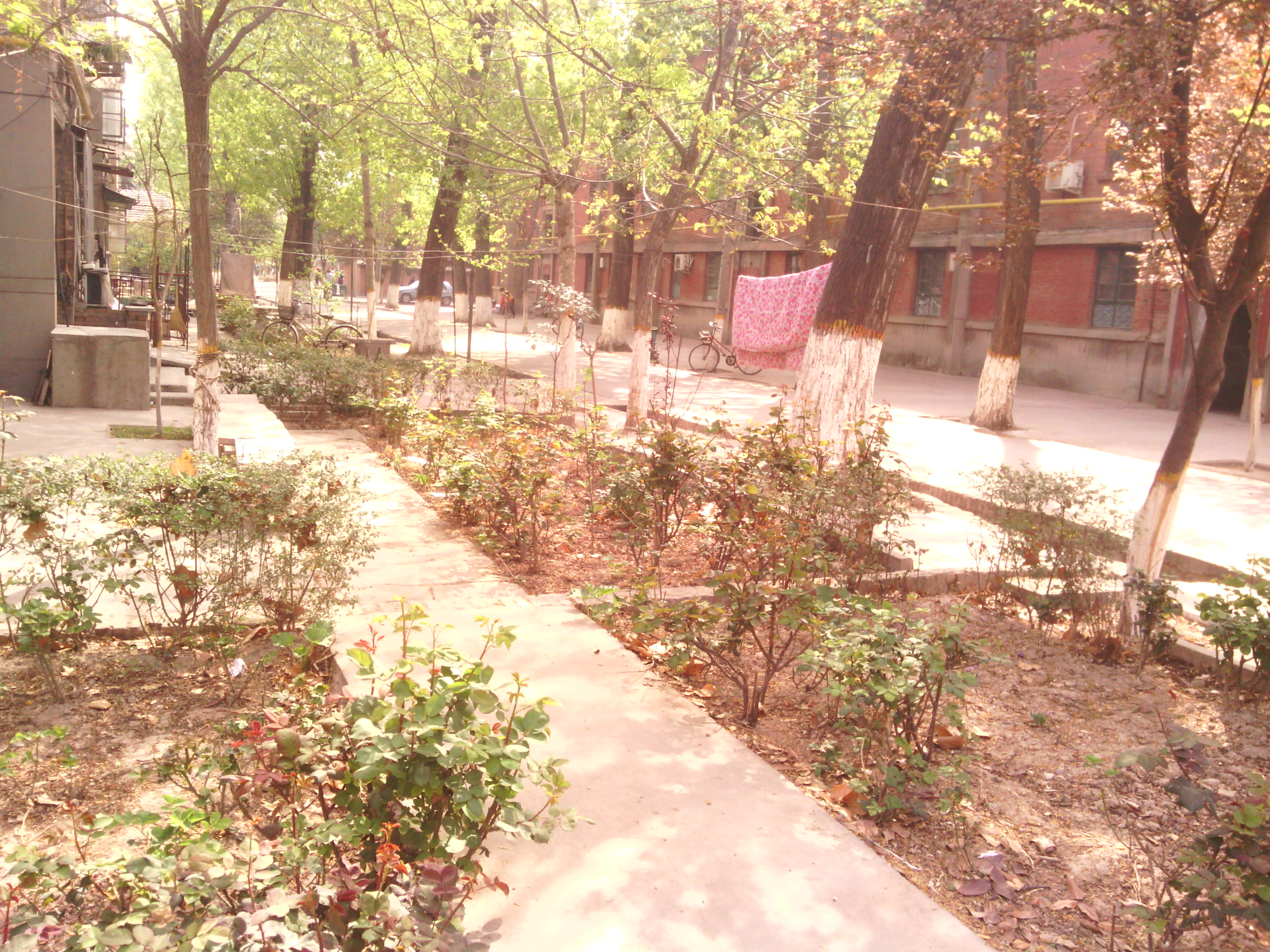IMG_20130328_101637.jpg
