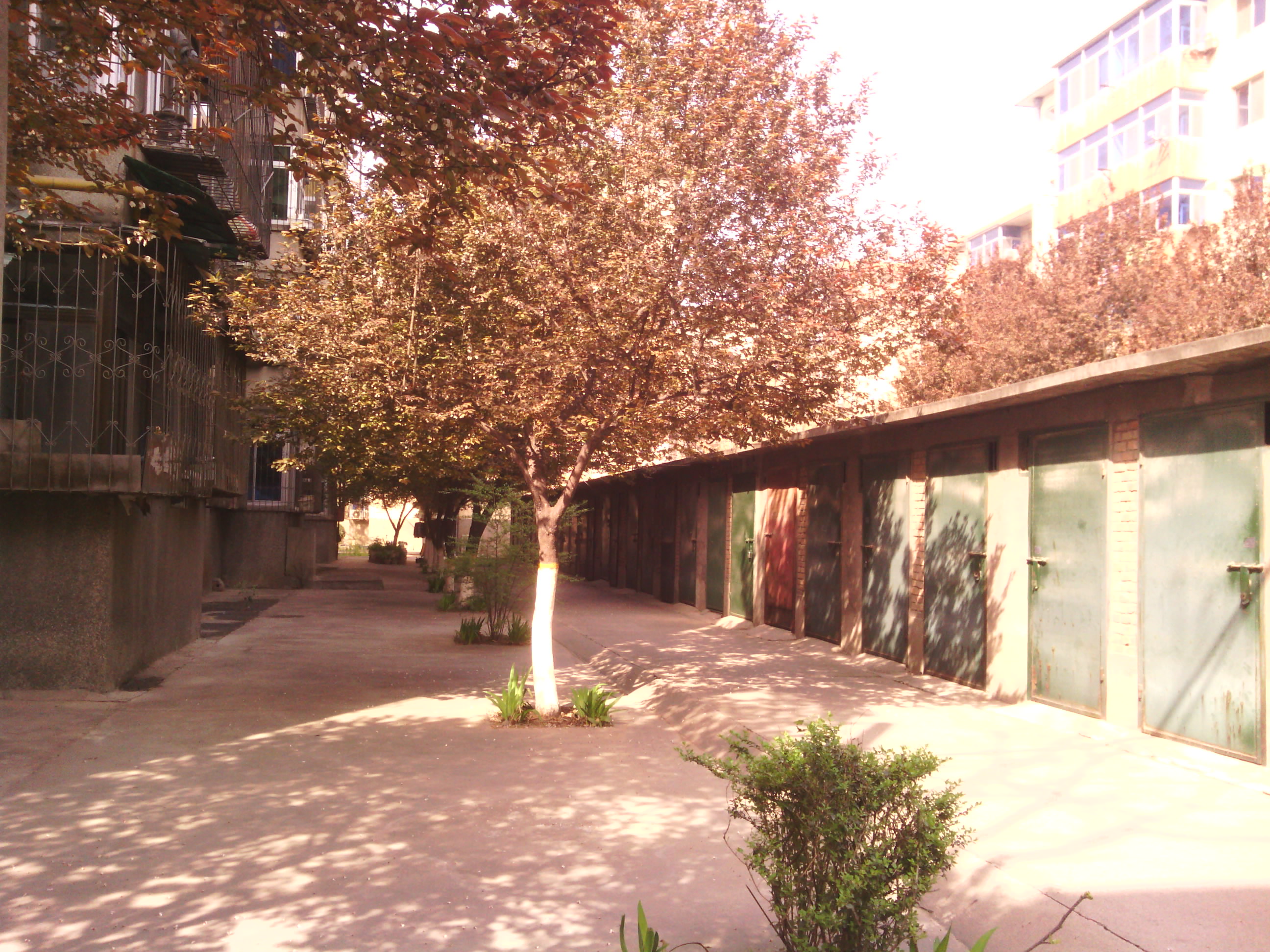 IMG_20130328_101752.jpg