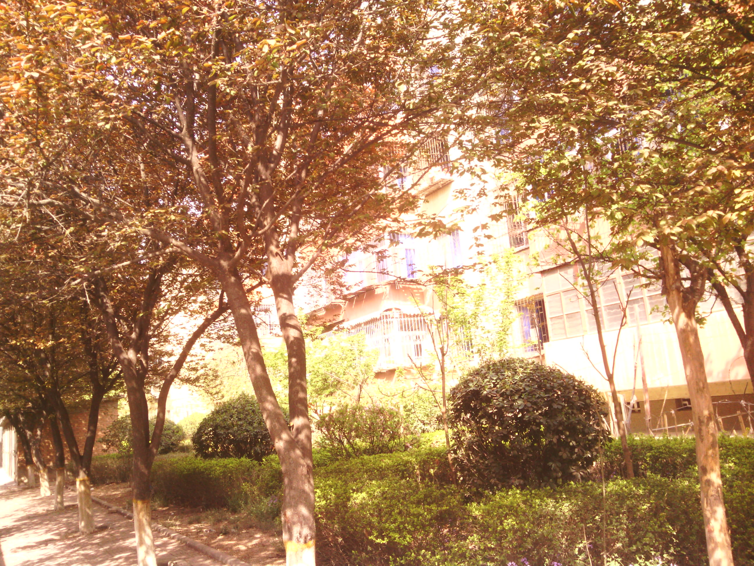 IMG_20130328_101820.jpg