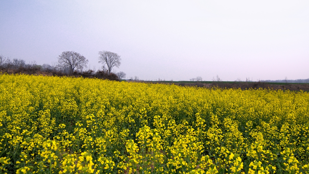 DSC_9884.jpg