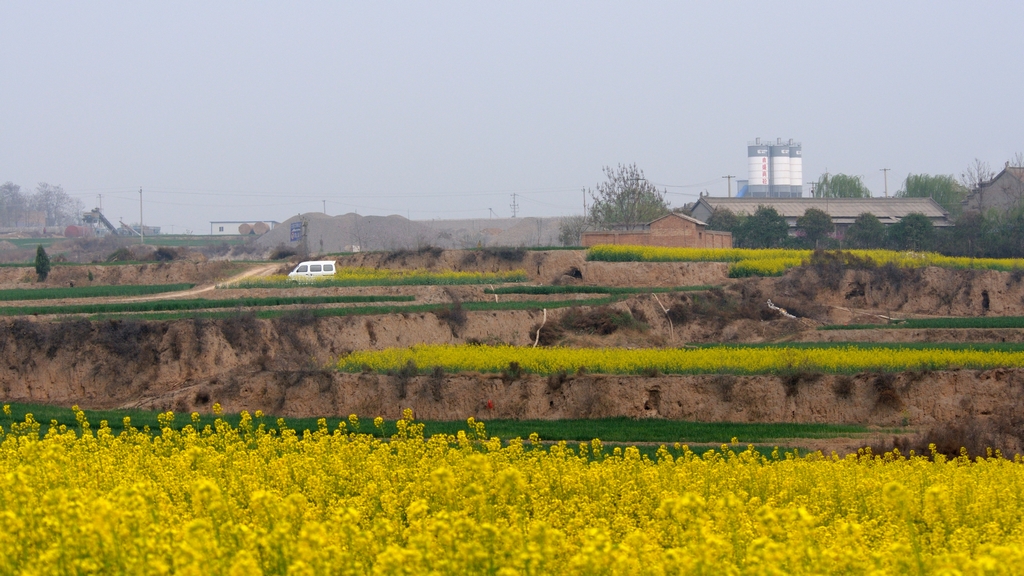 DSC_9956.jpg