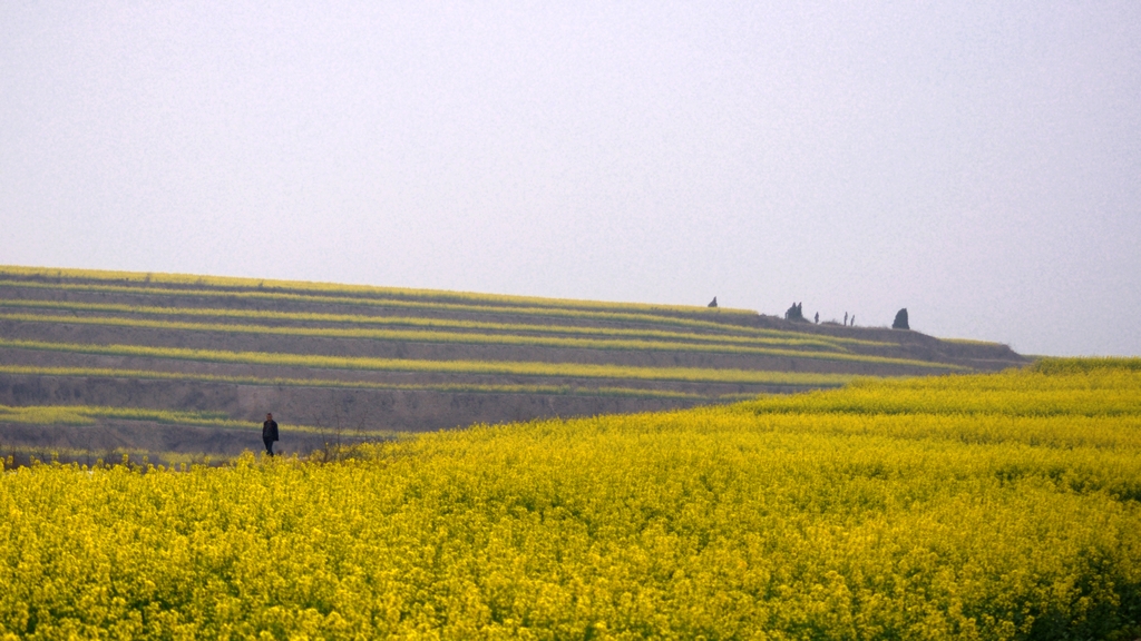 DSC_9992.jpg