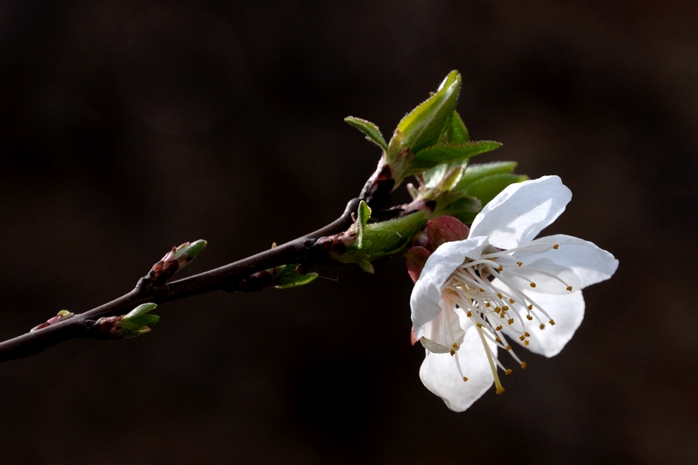 DSC_9757.jpg