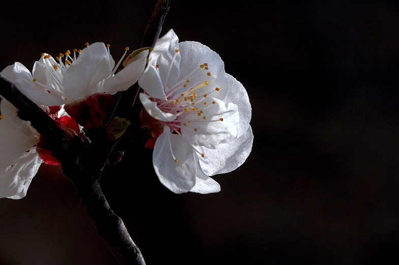 DSC_9761.jpg
