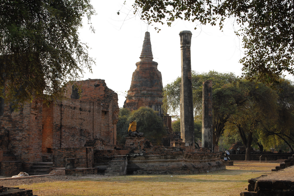 _MG_8667.jpg