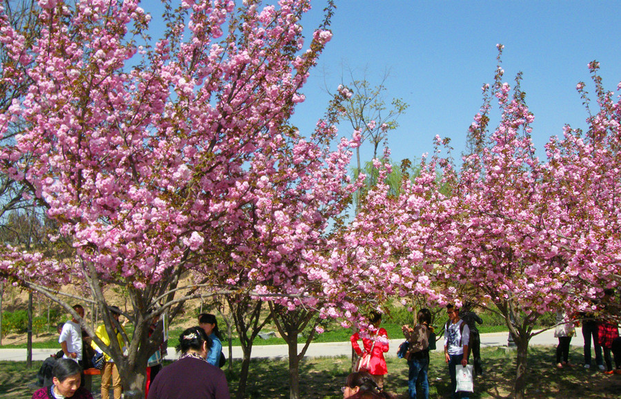 DSCF4797.jpg
