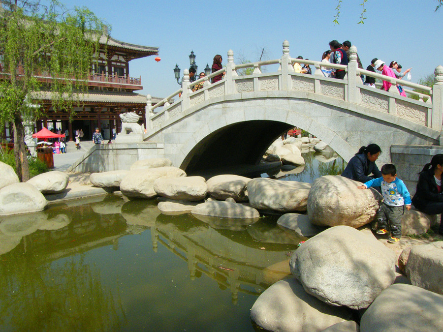 DSCF4785.jpg