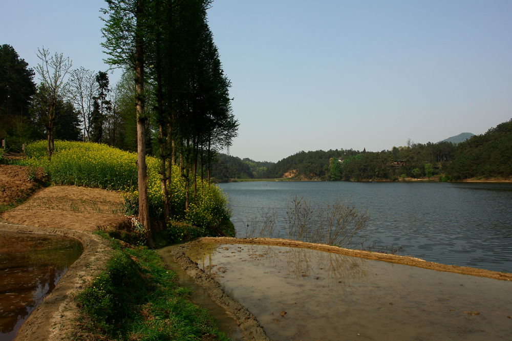 DSC02664.JPG